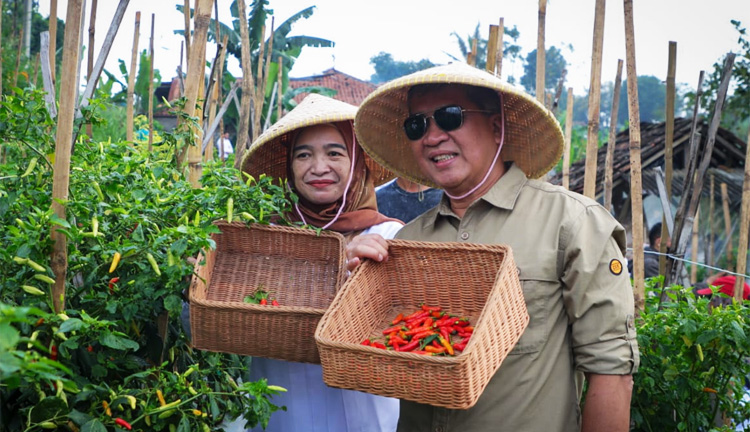 Pj Wali Kota Cimahi, Dicky Saromi