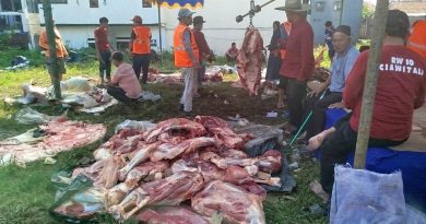 Penyembelihan dan Distribusi Hewan Qurban di RW 10 Citeureup Berlangsung Tertib