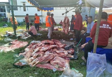 Penyembelihan dan Distribusi Hewan Qurban di RW 10 Citeureup Berlangsung Tertib